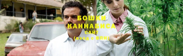 твердый Бородино