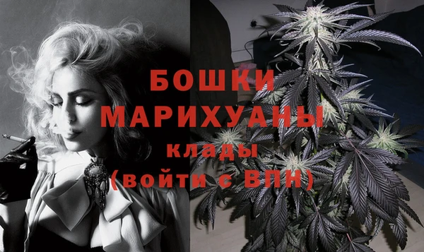 мдпв Богородск