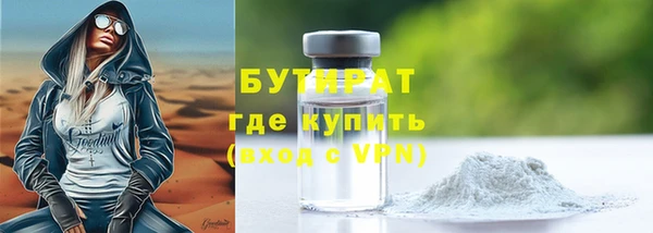 твердый Бородино