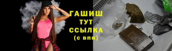 твердый Бородино