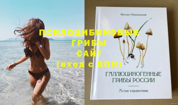 твердый Бородино