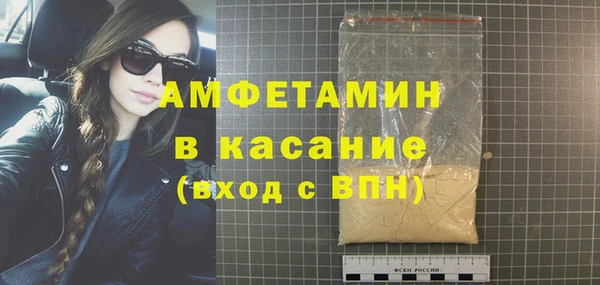 твердый Бородино
