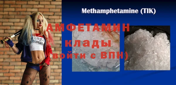 мдпв Богородск